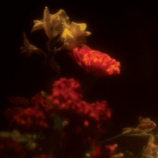 日本日本乱码伦视频在线观看
